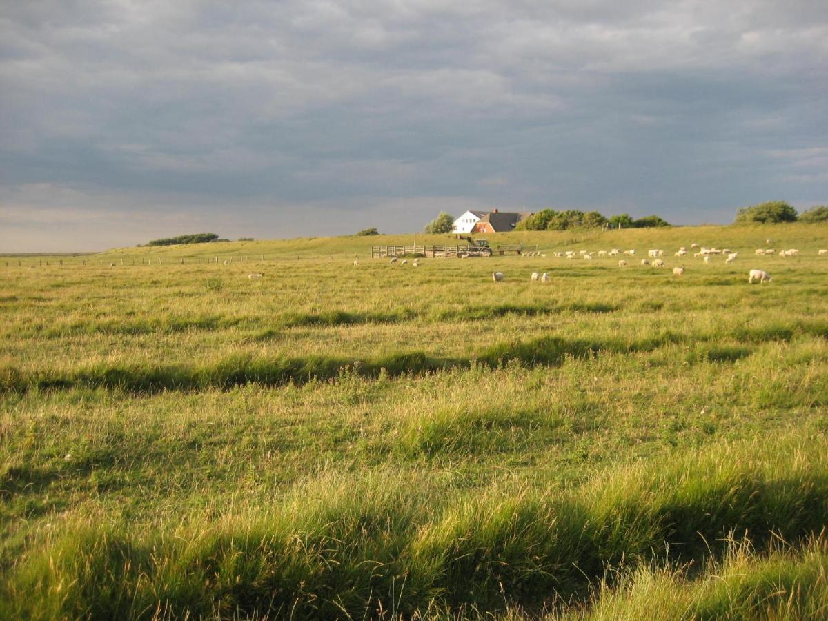 Hof Rickelsbuell - Nordseeurlaub Auf Dem Biobauernhof Rodenäs Εξωτερικό φωτογραφία